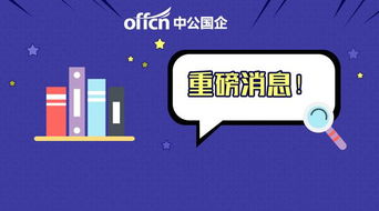 月薪3000-6000元加績效，無筆試計算機軟硬件開發崗位解析